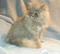 Click to view classifieds PZSPKPJM