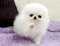 Click to view classifieds KYEJQOAC
