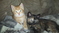 Click to view classifieds JKRBRNTE