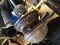 Click to view classifieds RWEQWJHB
