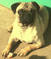 Click to view classifieds ZQXMBAQG