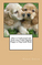 Click to view classifieds WWAJJPGU