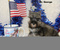 Click to view classifieds FBQJCOOO
