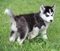 Click to view classifieds OZSEAJYQ