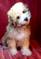 Click to view classifieds PTLVJQUK