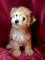 Click to view classifieds MFWUBTSN