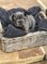 Click to view classifieds QCOPZDMD
