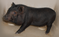 Click to view classifieds XREFWULR