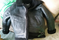 Click to view classifieds LFQQUQHC