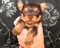 Click to view classifieds DTTSUFFM