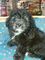 Click to view classifieds RMDENADZ