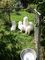 Click to view classifieds ZBFSORPX