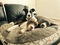 Click to view classifieds KSNTWSTV