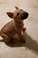 Click to view classifieds EAWMHBRD