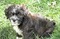 Click to view classifieds BRFWLPWT