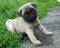 Click to view classifieds BXAWFXBD