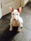 Click to view classifieds LBYJJATQ