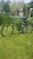 Click to view classifieds EXTDAHSN