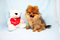 Click to view classifieds OGXFTPPP