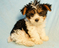 Click to view classifieds XQXKEFMA