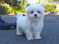 Click to view classifieds QYFXQSUC