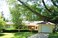 Click to view classifieds SMFATCAH