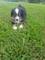 Click to view classifieds MGREGYBM