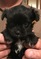 Click to view classifieds WNHDEACA