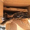 Click to view classifieds SSEFDTYO