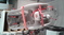 Click to view classifieds XRAAJEZK
