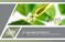 Click to view classifieds TNXTBVVZ