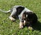 Click to view classifieds VFMPSTEK