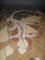 Click to view classifieds XFYPHLYS
