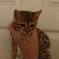 Click to view classifieds OQDFKJTL