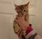 Click to view classifieds GJGVZLSM