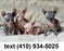 Click to view classifieds GKBKKJTN