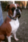 Click to view classifieds TJROFCSA