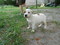 Click to view classifieds PHBAPEYB