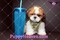 Click to view classifieds RMVSNVLN