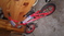 Click to view classifieds QVVVAKMQ