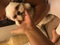 Click to view classifieds QQPDMHOV