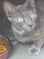 Click to view classifieds APQGHPXY