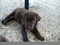Click to view classifieds OCCHLDCT