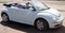 Click to view classifieds SFEJFBOL