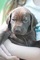 Click to view classifieds FOYZTWZE