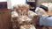 Click to view classifieds PLSLFTXV