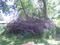 Click to view classifieds CFNJAFUR