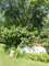 Click to view classifieds TEMDQUOH