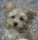 Click to view classifieds UQULVLHT