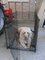 Click to view classifieds XFAZDKGR
